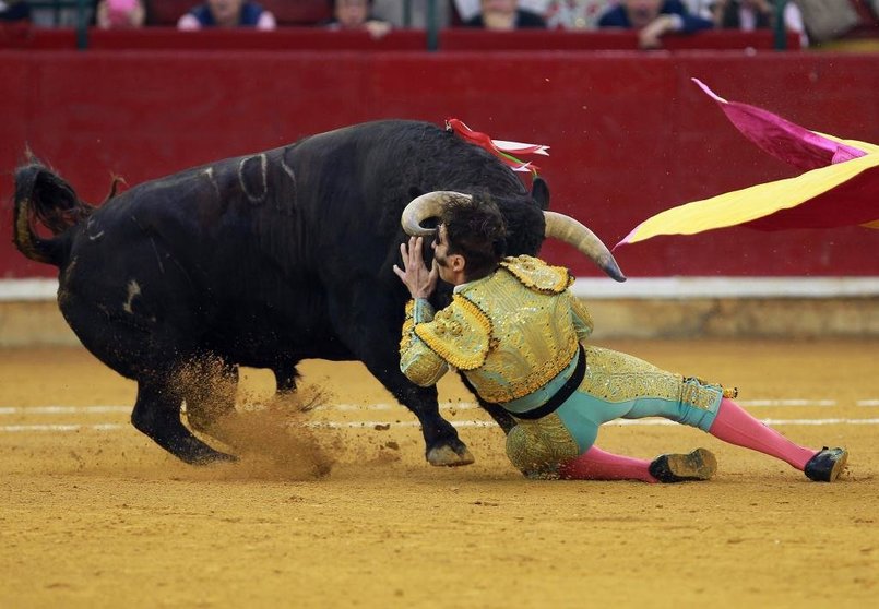 Spanish matador Juan Jose Padilla is hit by a bull during the El Pilar Feria at La Misericordia bullring on October 15, 2016. / AFP PHOTO / ALBERTO SIMON