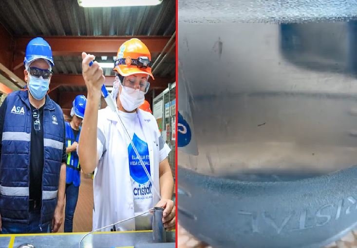 Larvas en garrafón: ASA y La Defensoría instan a mejorar las prácticas de  distribución de Agua Cristal - Noticias de hoy en El Salvador