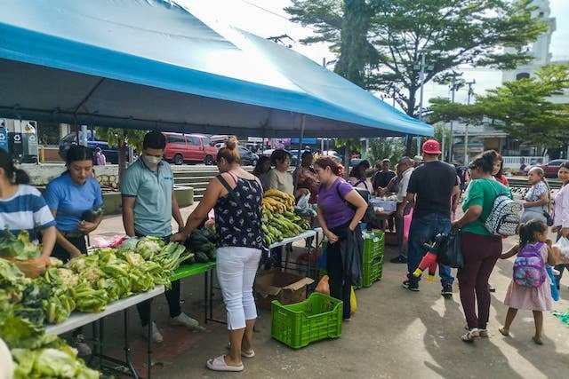 agro mercados MAG